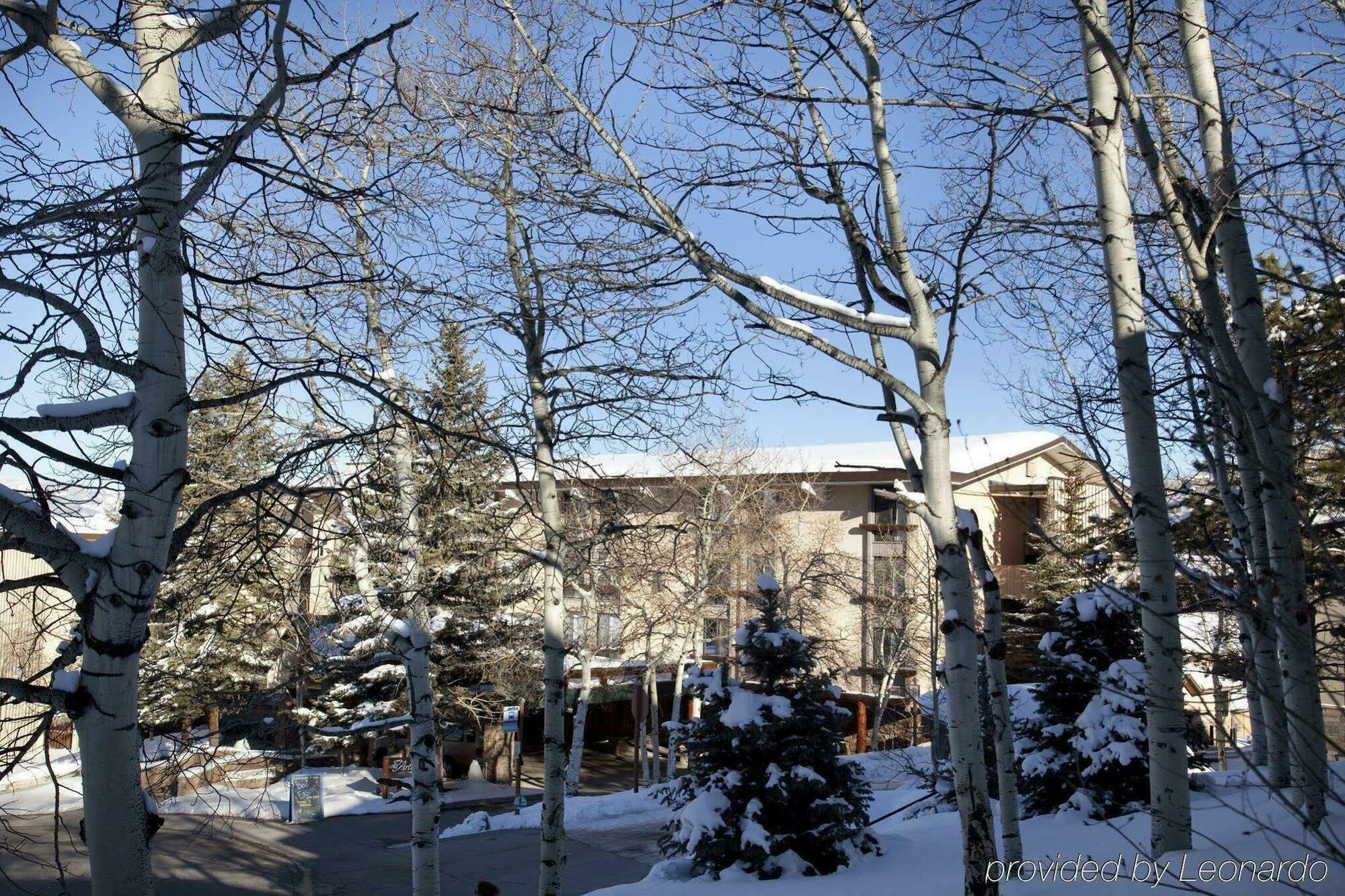 Tamarack Townhomes - Coraltree Residence Collection Snowmass Village Kültér fotó